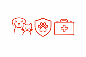 Seguro de Saude para Pet