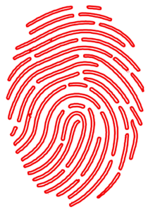 digital colorido outline